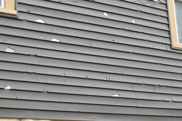 Best Siding Removal and Disposal  in Riverton, NJ